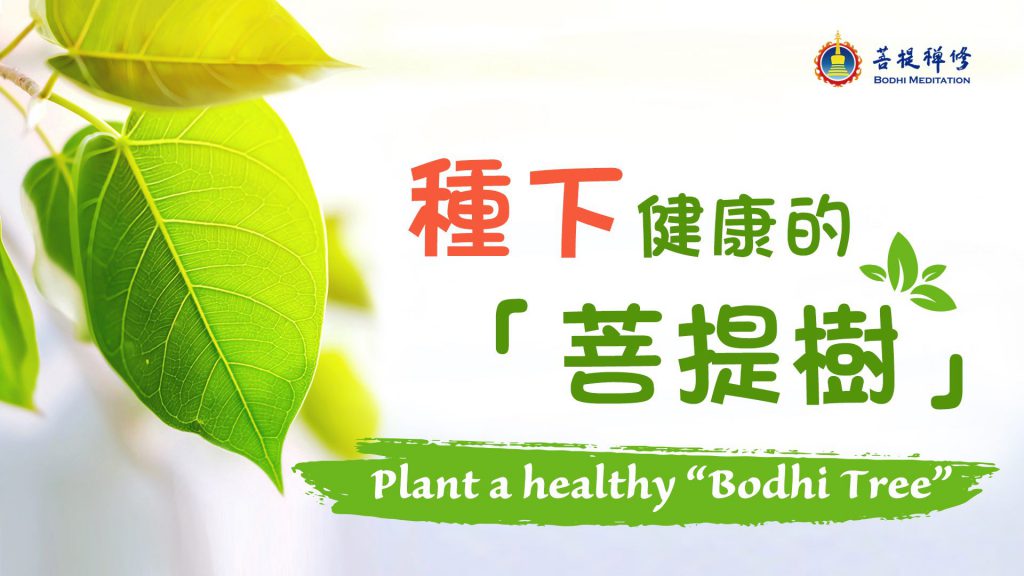 金菩提禪師 健康
